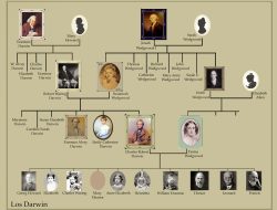 Wedgwood & Darwin: Keluarga Pencetus Revolusi Ilmiah dan Sosial Inggris