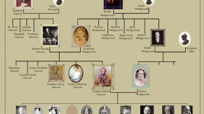 Wedgwood & Darwin: Keluarga Pencetus Revolusi Ilmiah dan Sosial Inggris